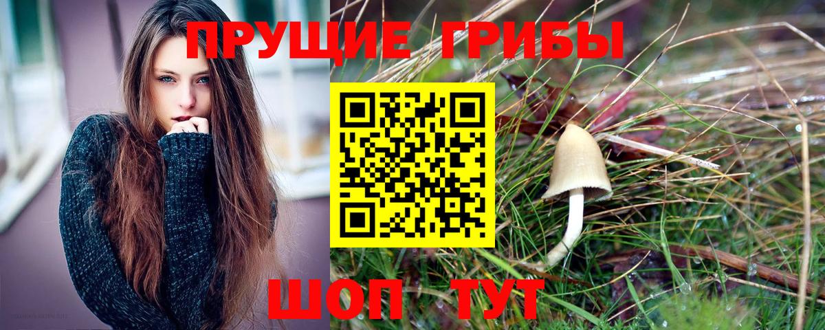 Можайск  Галлюциногенные грибы мицелий  Вход с VPN 